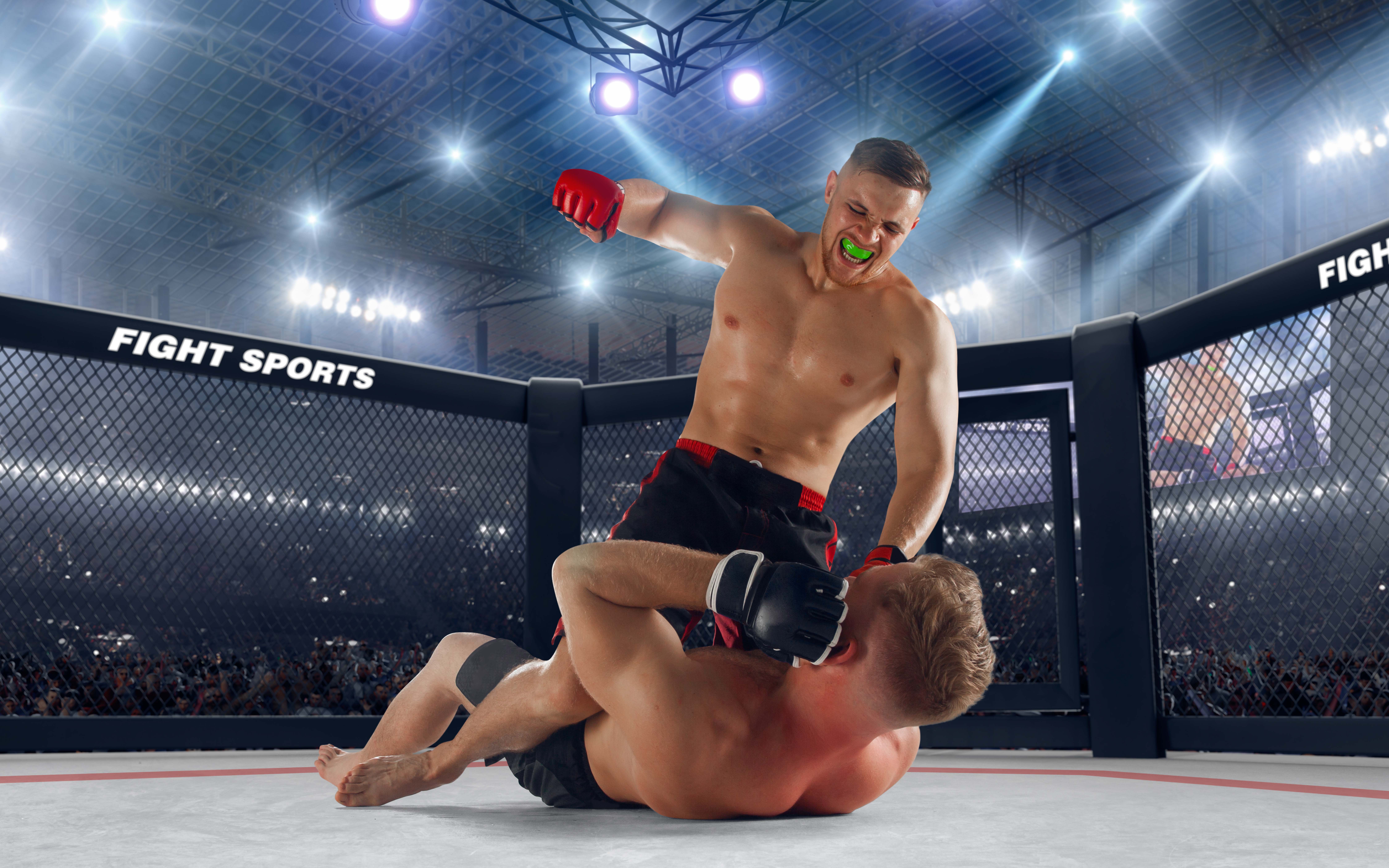 Mixed Martial Arts (MMA)